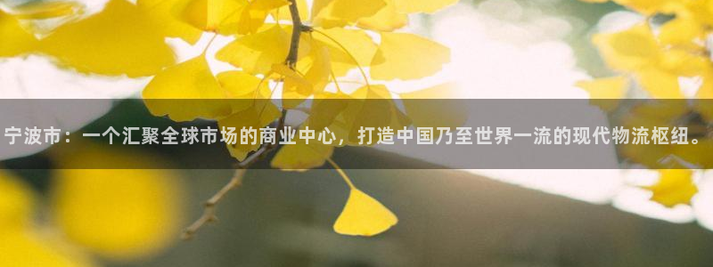 超凡国际网站平台：宁波市：一个汇聚全