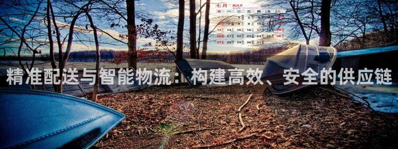 超凡国际电子：精准配送与智能物流：构
