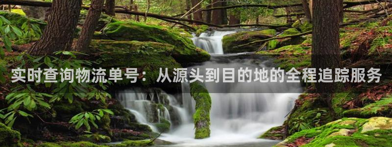 超凡国际cn：实时查询物流单号：从源