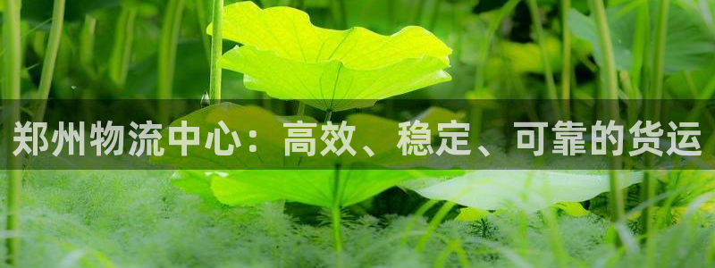 南宫超凡国际官网版：郑州物流中心：高