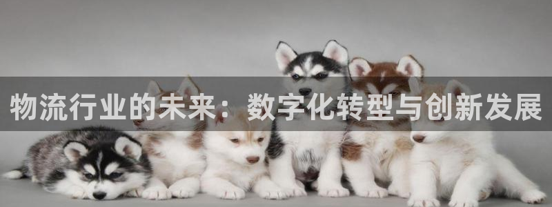 超凡国际注册官网：物流行业的未来：数
