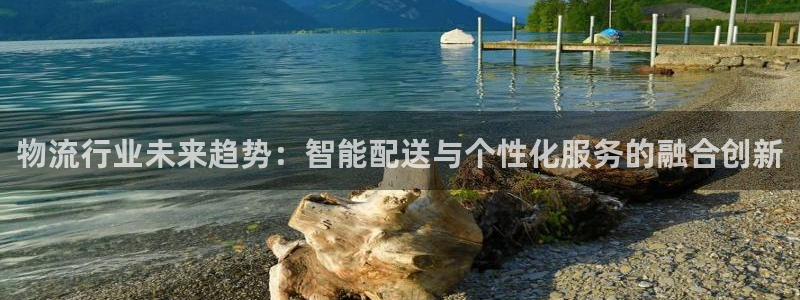 超凡国际官网网站：物流行业未来趋势：