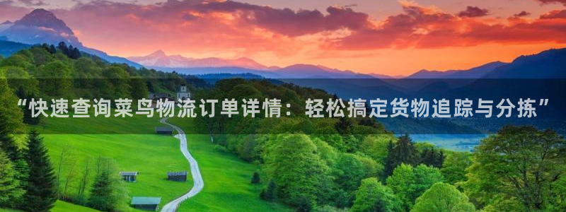 超凡国际网站怎么注册：“快速查询菜鸟
