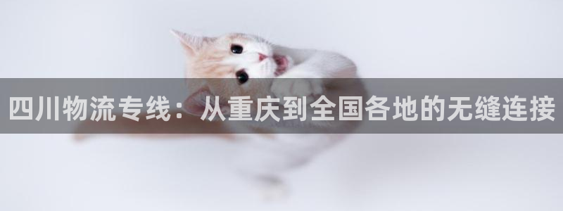 超凡国际哪个最赚钱：四川物流专线：从