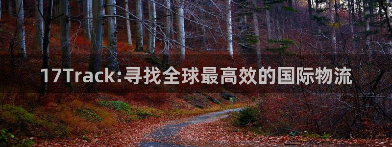超凡国际加拿大模拟器：17Track
