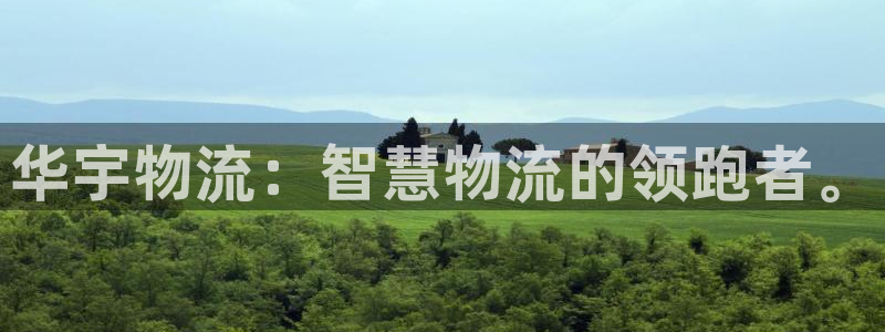 超凡国际哪个最赚钱：华宇物流：智慧物