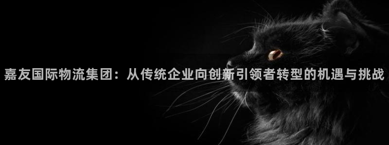 超凡国际可以退款吗：嘉友国际物流集团：从传统企业向创新引领者