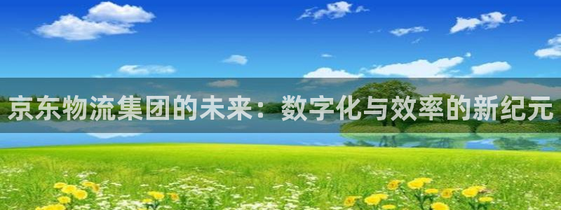 超凡国际如何看012路计划：京东物流