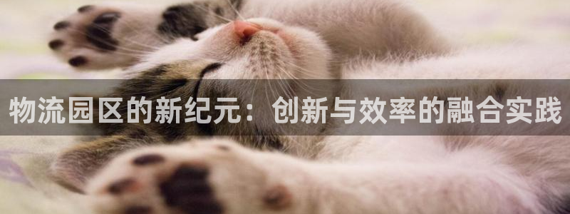 超凡国际游戏官网入口：物流园区的新纪