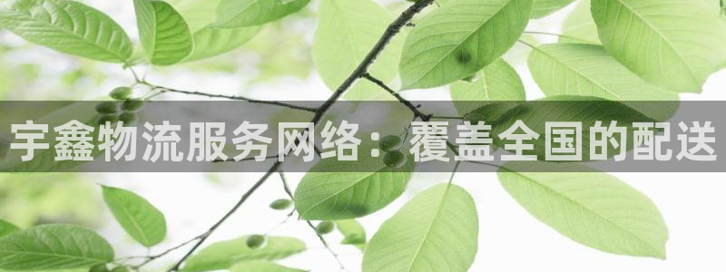 超凡国际在线预测：宇鑫物流服务网络：