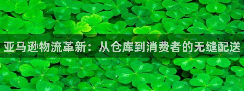 超凡国际PG电子游戏：亚马逊物流革新