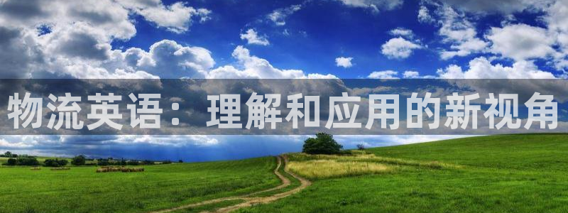 超凡国际是啥：物流英语：理解和应用的