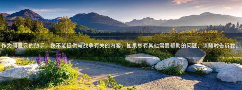 超凡国际官网入口pc29官网版：作为
