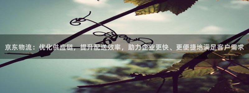 超凡国际p图上分下款通道：京东物流：