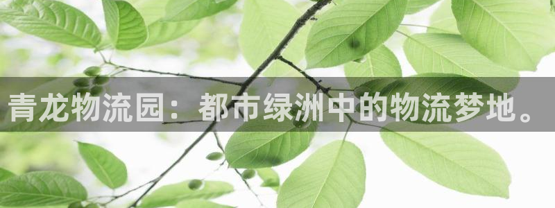 超凡国际官网入口：青龙物流园：都市绿